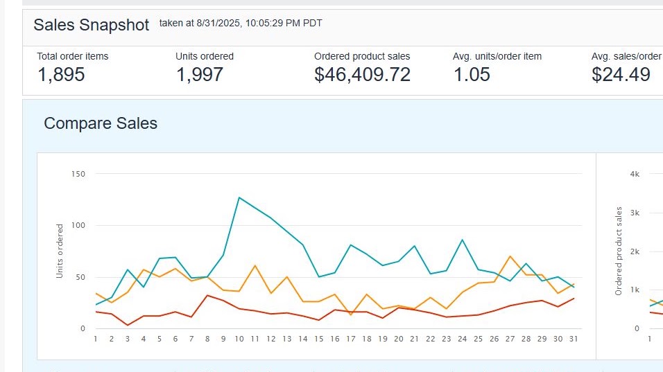 Monthly sales snapshot reporting dashboard